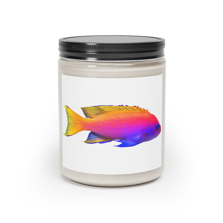 Bless international Fish Scented Candle Wayfair